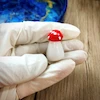قالب سیلیکونی قارچ حجمی تکی مدلC