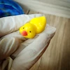 قالب سیلیکونی فیگور جوجه اردک تکی ۱