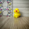 قالب سیلیکونی فیگور جوجه اردک تکی ۲