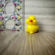 قالب سیلیکونی فیگور جوجه اردک تکی ۲