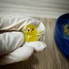 قالب سیلیکونی فیگور جوجه ریزه دوتایی