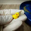 قالب سیلیکونی فیگور جوجه اردک ریز ۳ تایی