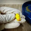 قالب سیلیکونی فیگور جوجه اردک ریز ۳ تایی