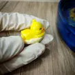 قالب سیلیکونی فیگور جوجه خوابیده تکی ۲