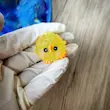 شب تاب جوجه تپل