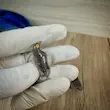 قالب سیلیکونی فیگور کلاغ ۴ تایی