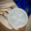 قالب سیلیکونی ستاره دریایی حجمی تکی