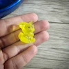 قالب سیلیکونی فیگور بچه روباه فانتزی تکی 