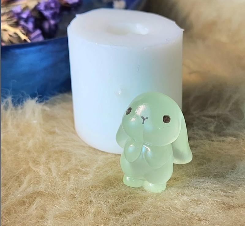 قالب خرگوش لوپ