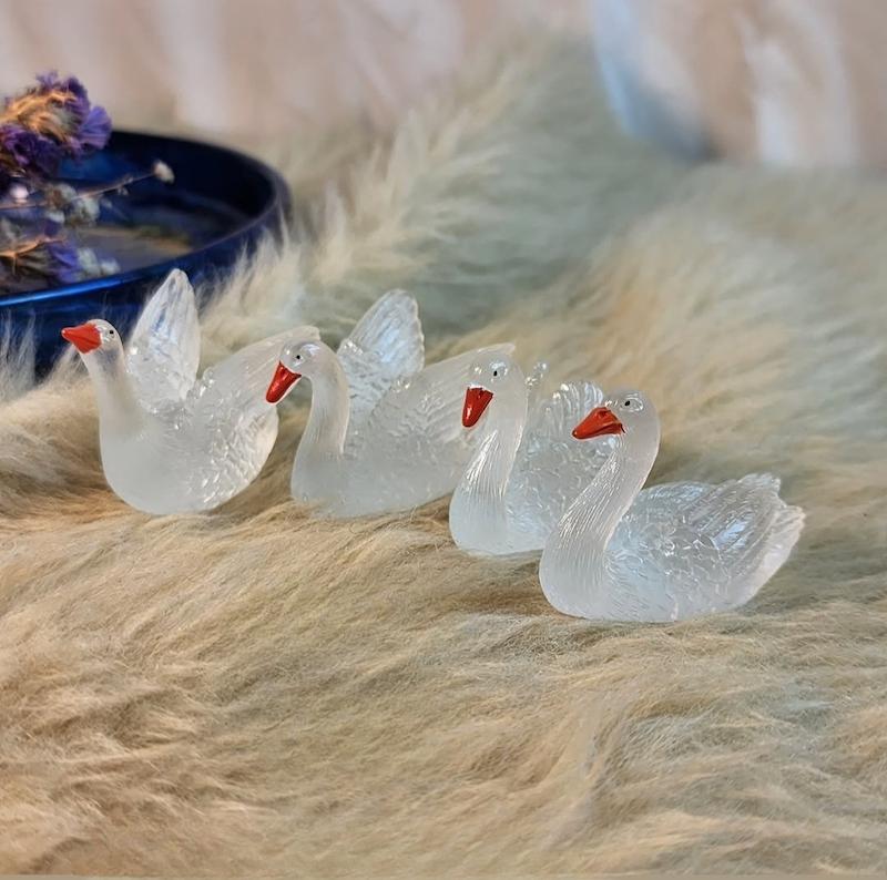 قالب خانواده قو ها