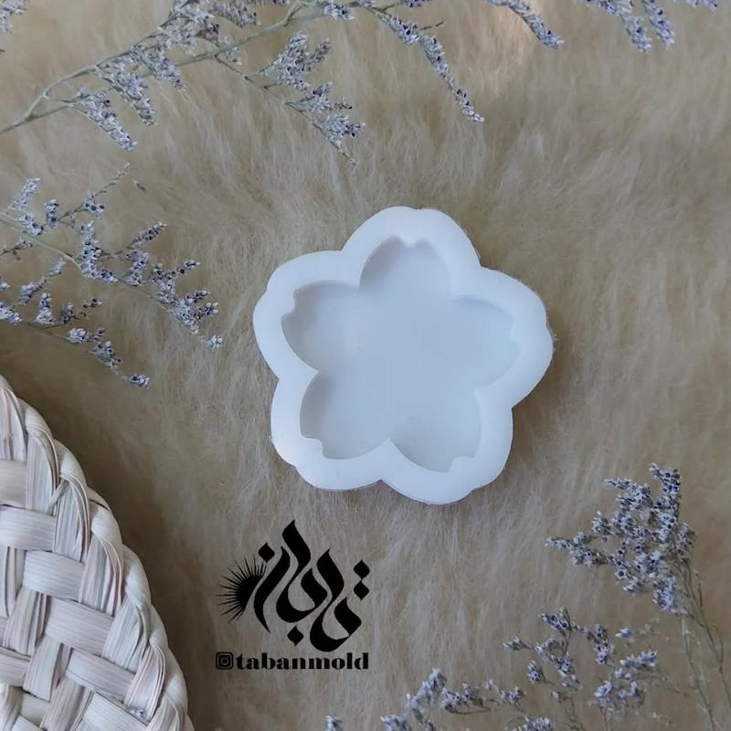 قالب سعی 5 پر