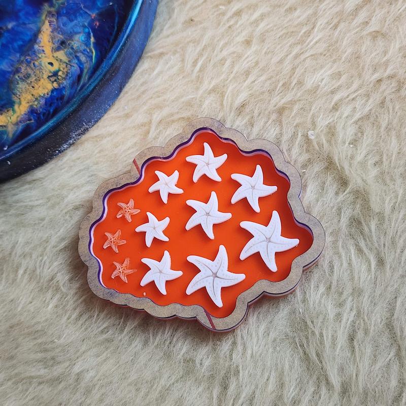 حوضچه قالبگیری _ستاره دریایی