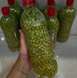 غوره غوره