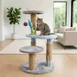 اسکرچر درخت طرح راییکا