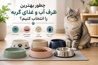 چطور بهترین ظرف آب و غذای گربه را انتخاب کنیم؟