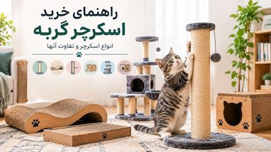 راهنمای خرید اسکرچر گربه؛ انواع اسکرچر و تفاوت آنها