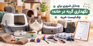 وسایل ضروری برای نگهداری گربه در خانه