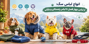 انواع لباس سگ؛ از لباس چهار فصل تا لباس زمستانی و بارانی