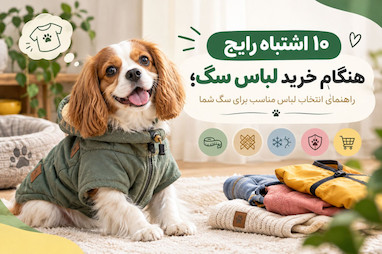 ۱۰ اشتباه رایج هنگام خرید لباس سگ؛ راهنمای انتخاب لباس مناسب برای سگ شما