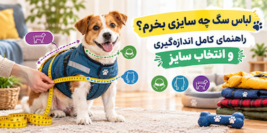 لباس سگ چه سایزی بخرم؟ راهنمای کامل اندازه‌گیری و انتخاب سایز