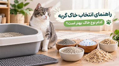 راهنمای انتخاب خاک گربه؛ کدام نوع خاک بهتر است؟