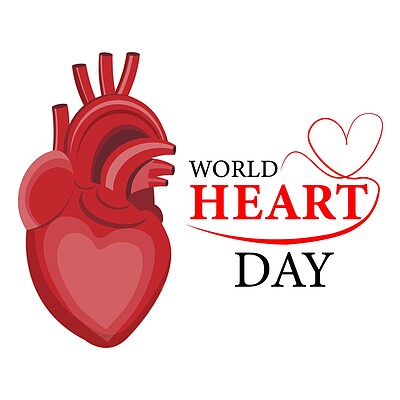 World Heart Day , دانلود پوسترهای روز جهانی قلب , آخرین یکشنبه سپتامبر ,  29 سپتامبر ,   7 مهر ,  8 مهر  , روز جهانی قلب  ,  پوستر قلب , 