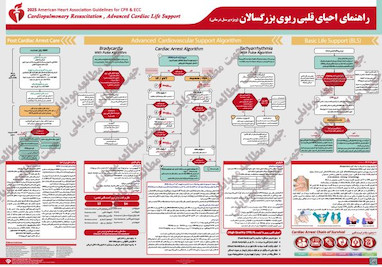 پوستر های جدید احیای قلبی ریوی 2025 CPR 