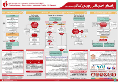 دانلود رایگان PDF پوسترهای راهنمای احیای قلبی ریوی 2025 (پوستر احیاCPR ) چاپ 2026