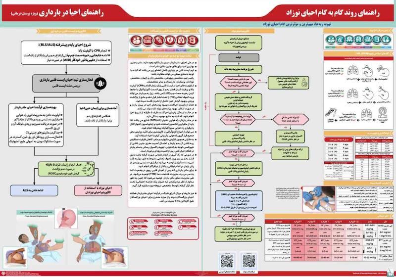 پوستر ترکیبی احیای قلبی ریوی مادر باردار و نوزاد2025 , احیا مادر باردار و نوزاد  , الگوریتم احیا 2025 , پوستر احیا 2025 , پوستر ادغامی احیا مادر باردار و نوزاد