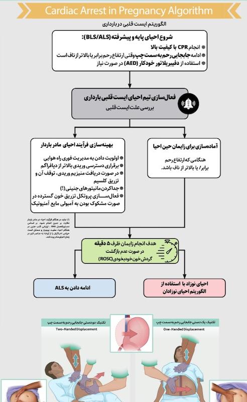 پوستر احیای قلبی ریوی مادرباردار 2025 (CPCR 2025) بر اساس گایدلاین انجمن قلب امریکا AHA - ویژه پرسنل درمانی (پوستر احیا در بارداری 2025) 