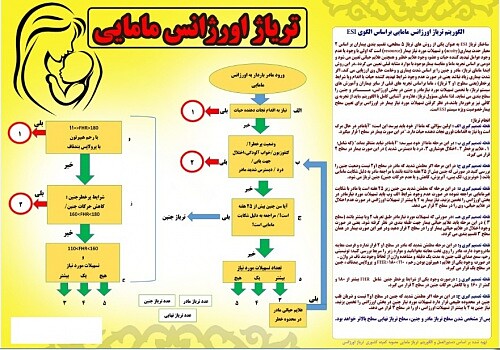 پوستر تریاژ اورژانس مامایی, تریاژ مامایی