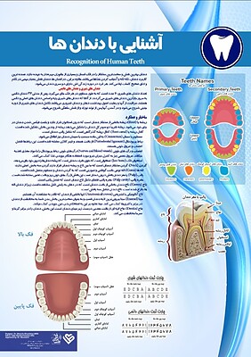 پوستر آشنایی با دندانها, پوستر دندانپزشکی