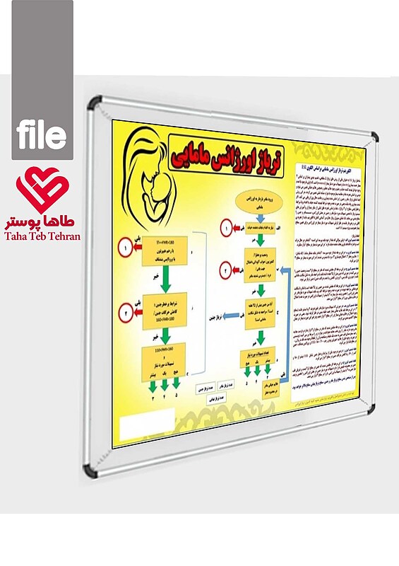 پوستر تریاژ اورژانس مامایی, تریاژ مامایی