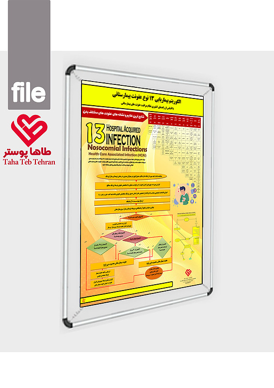 پوستر بیماریابی 13 عفونت بیمارستانی, الگوریتم بیماریابی بیماران عفونی در بخش , علایم و نشانه های 13 عفونت بیمارستانی,  کنترل عفونت، عفونت اداراری,عفونت خون ,سوپروایزر کنترل عفونت,نظام مراقبت از عفونت بیمارستانی,قلبی عروقی	,پنومونی	,چشم، گوش،  بینی، حلق یا دهان	,جریان خون	,دستگاه گوارش,	اعصاب مرکزی,دستگاه ادراری,	استخوان و مفاصل	,ونتیلاتور	,پوست و بافت نرم	,دستگاه تناسلی	,محل جراحی	,دستگاه تنفسی تحتانی, CVS	,PNEU	,EENT	,BSI	,GI	,CNS	,UTI	,BJ	,VAE	,SST	,REPR	,SSI	,LRI,,,,,v