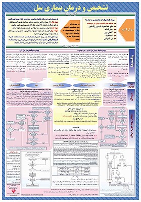 پوستر پروتکول تشخیص و درمان سل (پوستر توبرکلوزیس)