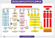 پوستر شرایط اضطراری محتمل در بیمارستان , چارت واکنش در شرایط اضطراری,  مدیریت بحران و بلا بیمارستان,  وظایف تیم واکنش سریع