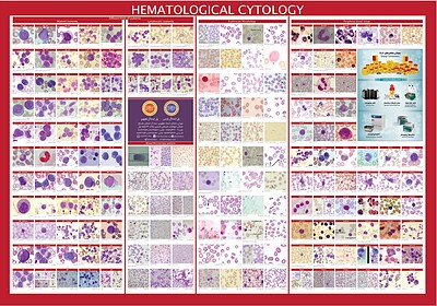 پوستر آزمایشگاهی هماتولوژیکال , سیتولوژی ,Hematological Cytology , آزمایشگاه