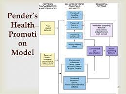 نظریه نولا پندر Nola J. Pender الگوی ارتقاء سلامت -فایل ورد نظریه پرستاری پندر