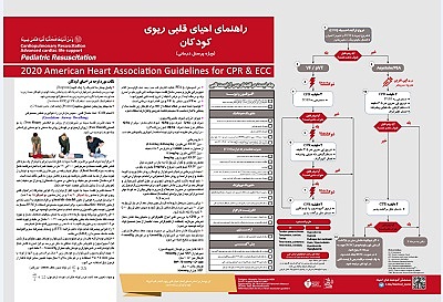 پوستر احیای کودکان, پوستر احیای اطفال, پوستر CPR 2020 pediatric