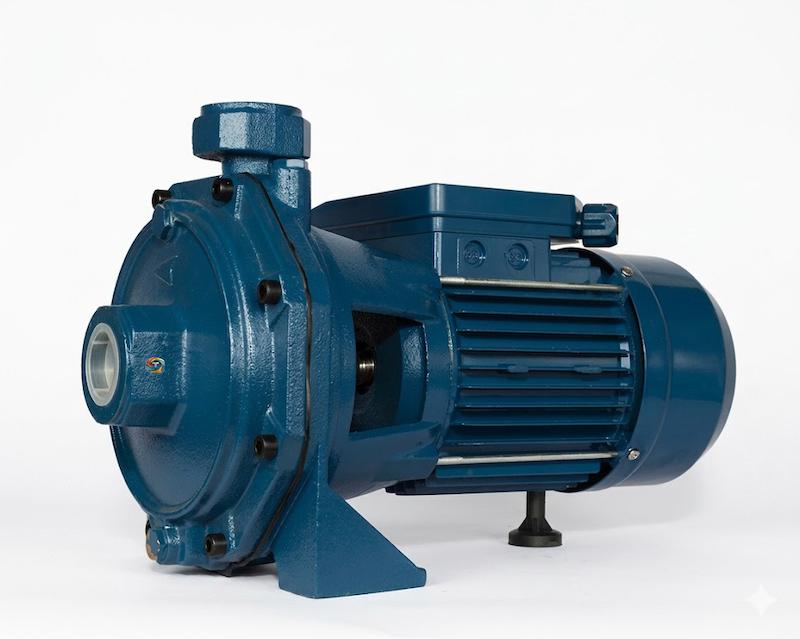پمپ 2 اسب دو پروانه دیزل ساز DB210/01 | Diesel Saz DB210 01 2HP Twin Impeller Pump