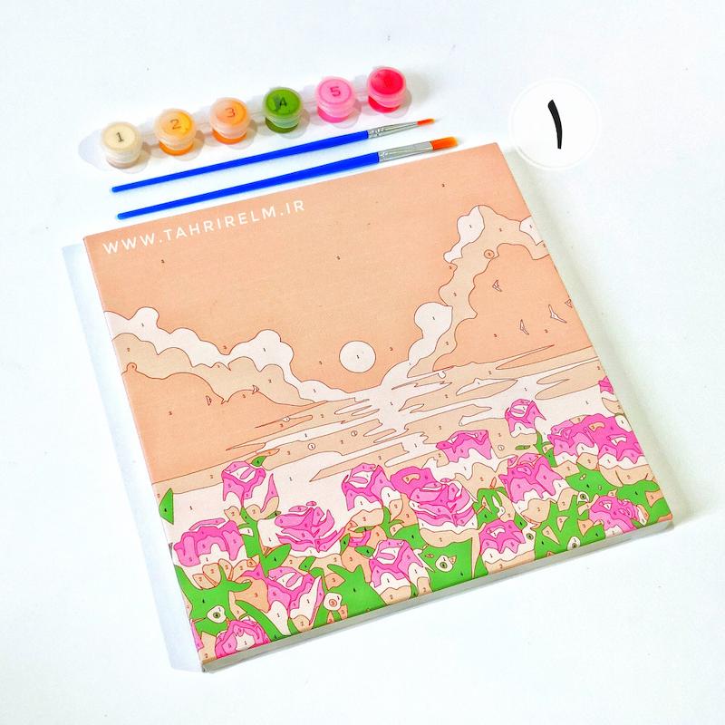 بوم نقاشی شماره گذاری شده ۲۰*۲۰