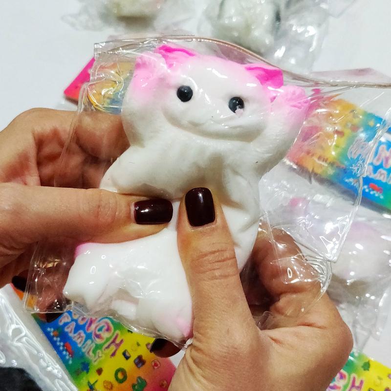 اسکوییشی نرمالو گربه سایز متوسط