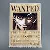 پوستر وانتد میهاک یا چشم شاهینی ، پوستر انیمه وان پیس انیمه وان پیس (Vantad-Dracule.Mihawk)one piece ، پوستر گلاسه 