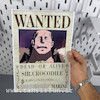 پوستر کروکودایل شیجیبوکای سابق ، پوستر انیمه وان پیس (WANTED-SIR-COCODRILE)one piece ، پوستر گلاسه 