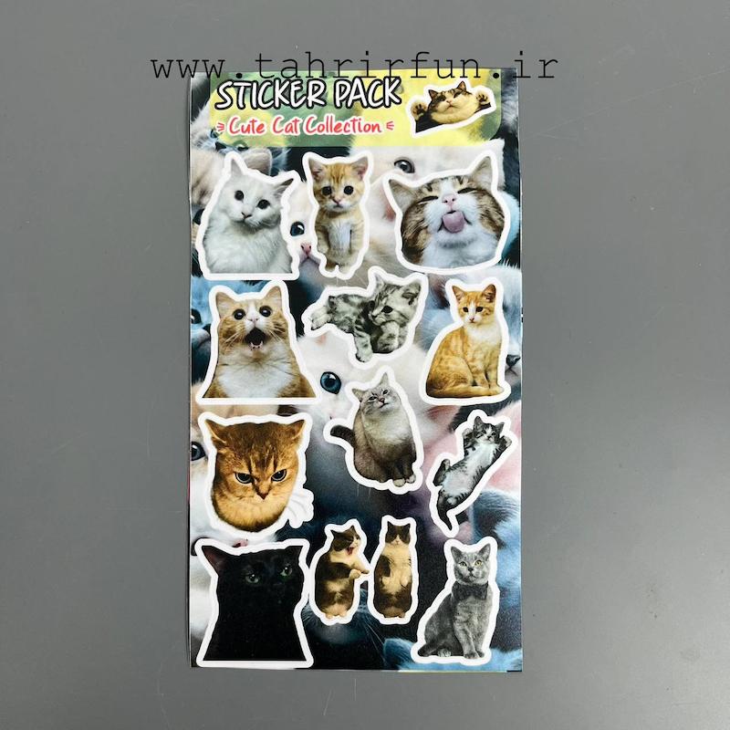 پک استیکر گربه ،استیکر پکی گربه کیوت ضد آب و ضد خش  (CAT  Collection)