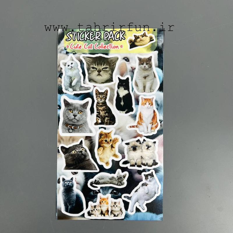 پک استیکر گربه ،استیکر پکی گربه کیوت ضد آب و ضد خش  (CAT  Collection)