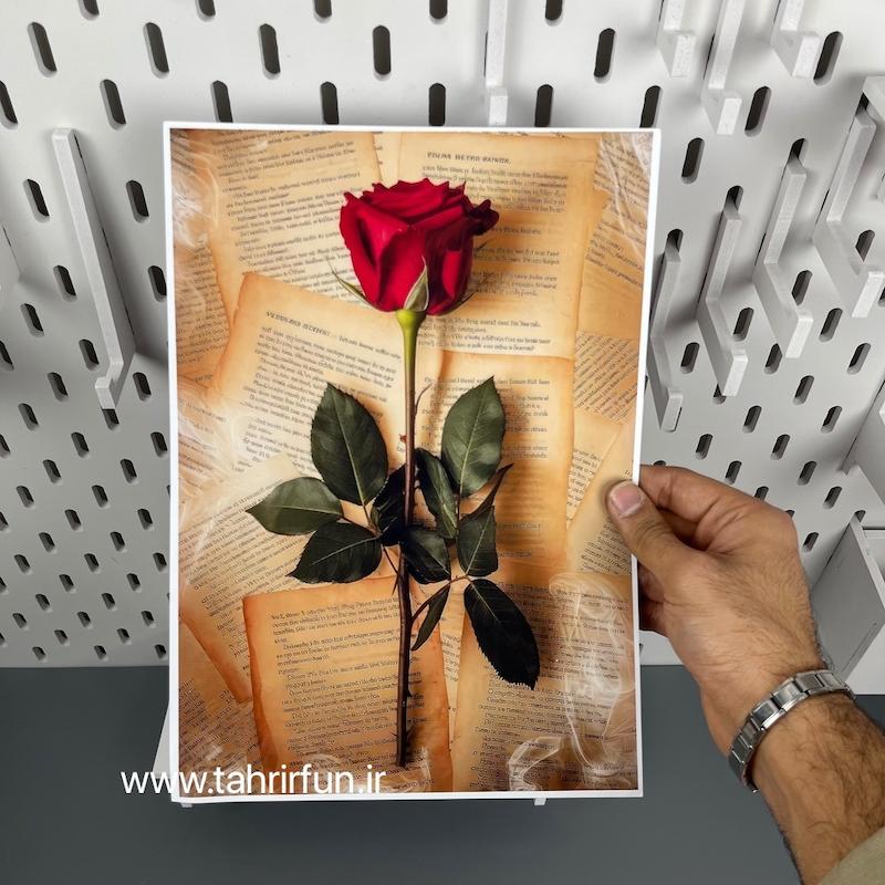 پوستر گل روز و نامه های خارجی ، پوستر پینترستی گل ( ابعاد 21 در 30 سایزA4)