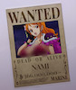 پوستر نامی یا گربه دزد ، پوستر انیمه وان پیس (NAMI)one piece ، پوستر گلاسه 