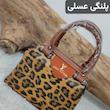 کیف مجلسی مدل صدف 😍