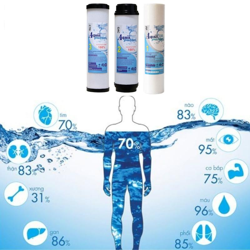 فیلتر دستگاه تصفیه کننده آب آکوا پیورست مدل RO-TBF NEW03 مجموعه 3 عددی